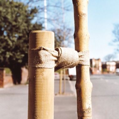 Tree Tie Webbing - Natural Jute (100m x 50mm)